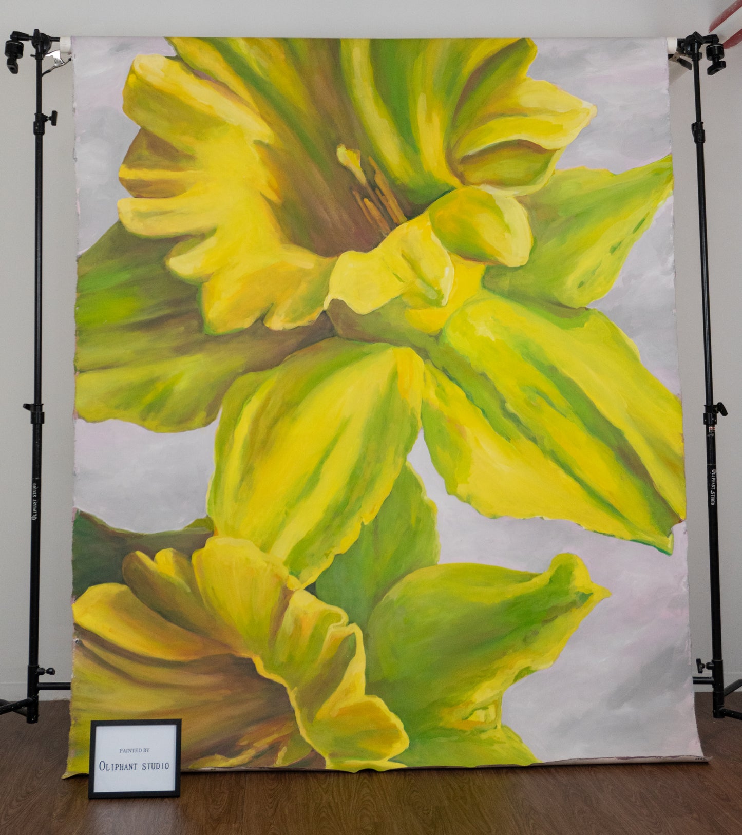 S-770 (6'11'' x 8'11'')