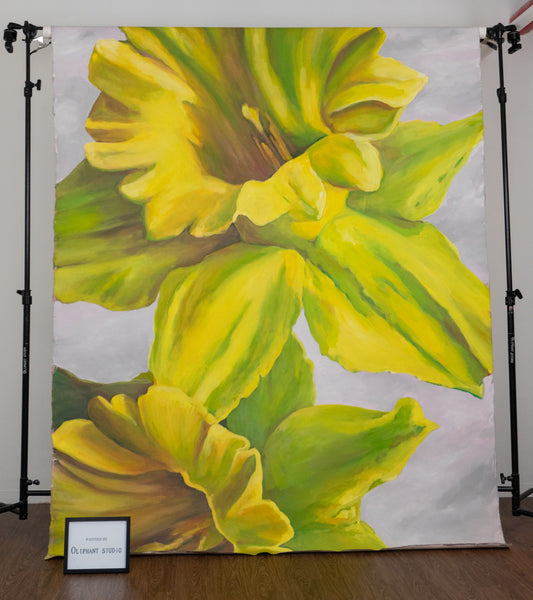 S-770 (6'11'' x 8'11'')