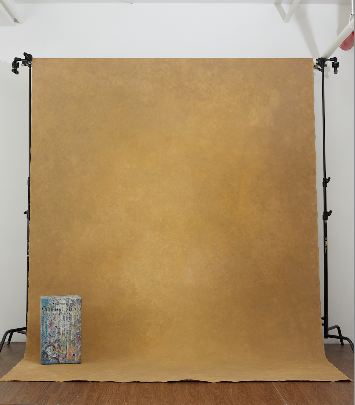 Native Backdrop Studio S-780 | Portrait & Studio Photography Backdrop | Oliphant Studios ...